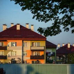 IMG_7964-compressed-75