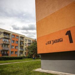 IMG_8008-compressed-75