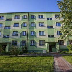 IMG_8020-compressed-75