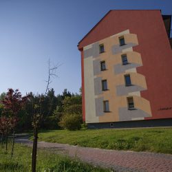 IMG_8025-compressed-75