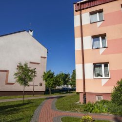 IMG_8037-compressed-75