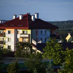 _MG_2667-compressed-80