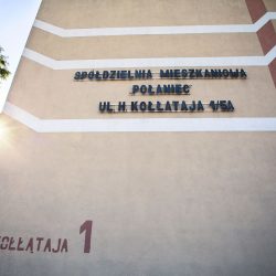 _MG_4655-compressed-80