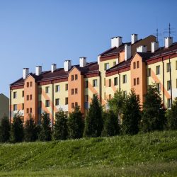 _MG_8978-compressed-75