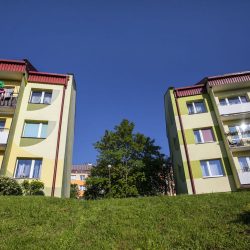 _MG_9018-compressed-75