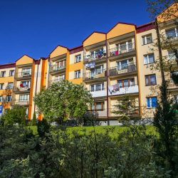 _MG_9020-compressed-75